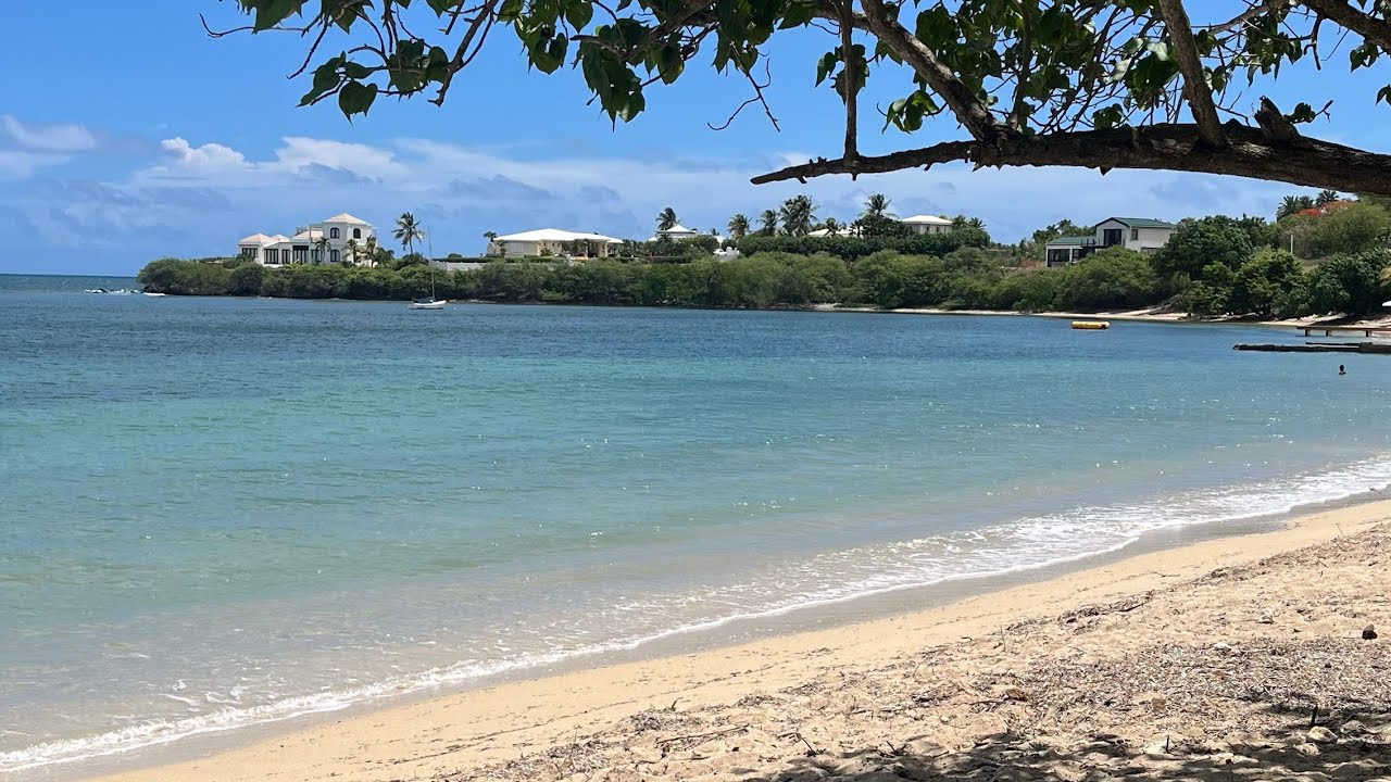 Summer trip! 【St. Croix USVI】 YouTube