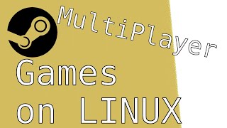 Multiplayer on Linux