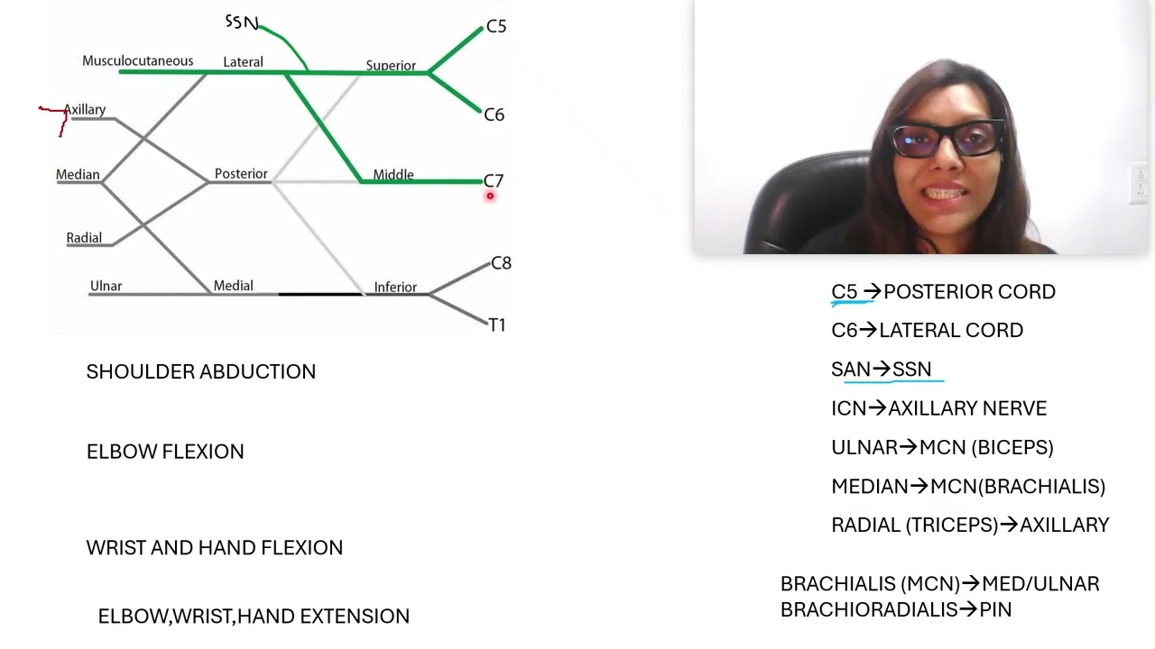 BRACHIAL PLEXUS INJURY - EXAM PREP