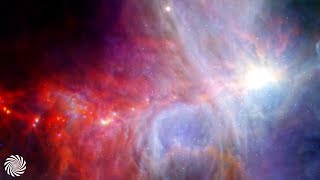 Nervasystem - MassEnergySpaceTime [Psychedelic Visuals]