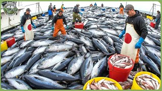 How Japan Makes Billion Dollars From Farming – Massive High Tech Agriculture Industry