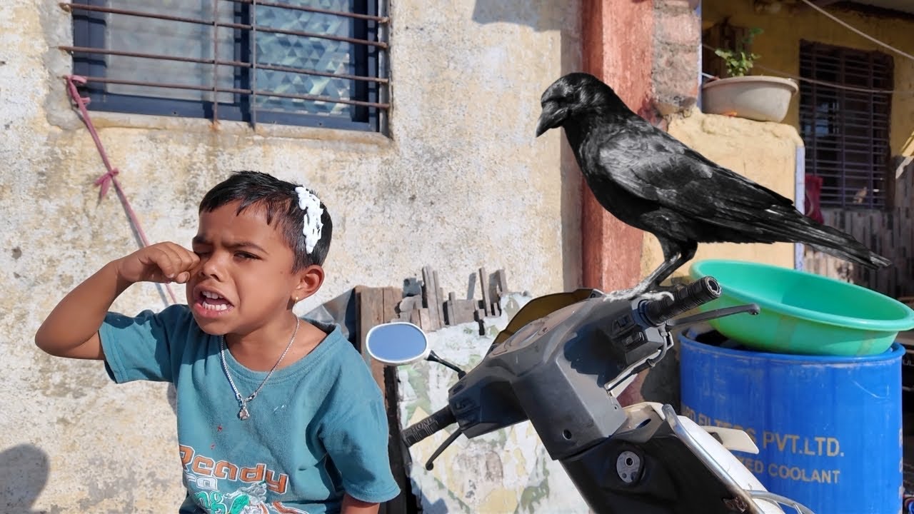 कावळ्याने साईचं डोकं घाण केलं 🫣#भांडण 