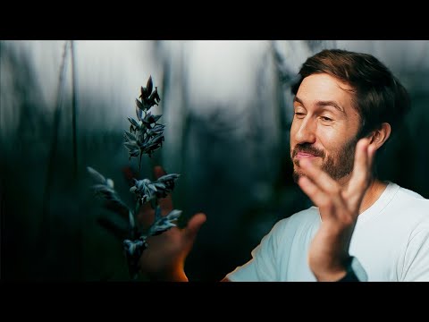 2 FREE Little FCP Hacks (Members-only video)