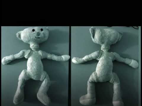 Bear alpha images from the bear gallery 