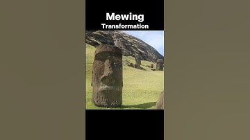 Mewing Transformation