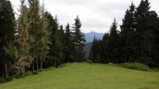 Adem Kodalak - Yuvasız Kuşlar