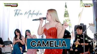 CAMELIA || BARANGKAL TEAM - GDC MUSIK || LIVE BOJONG JATI