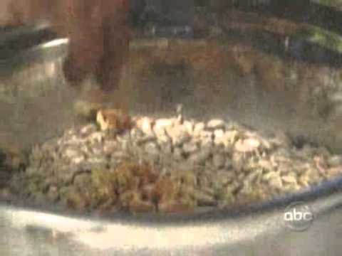 Healthy Food, Unhealthy Obsession  Pt  2   ABC News
