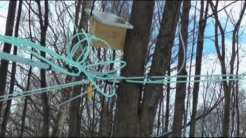 Maple Syrup Makers Tap Into New Technology