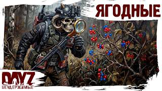 #26 ЯГОДНЫЕ МУКИ: DayZ НЕУДЕРЖИМЫЕ 3.0 (сезон 26, патч 1.28)