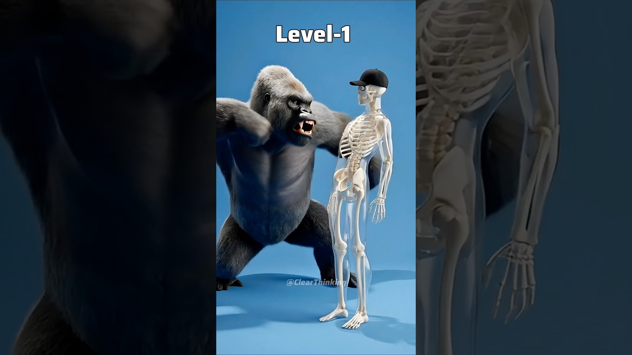 Which Monkey Could End You? 🐒