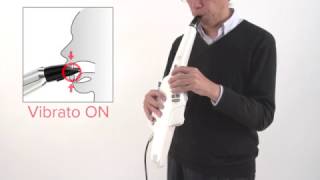 Performing with Automatic Vibrato: Roland Aerophone AE-10 #14