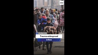 Download Lagu Shaina Low: Trauma widespread in Gaza MP3 Download Lagu Shaina Low: Trauma widespread in Gaza MP3