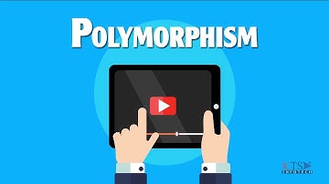 Tutorial 3 | (Part 4) | VB Tutorials | Polymorphism in VB.NET