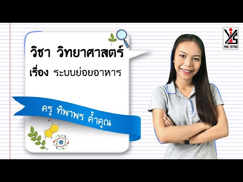 วิทยาศาสตร์ ม.2 ตอนที่ 5 ระบบย่อยอาหาร – Yes iStyle | สังเคราะห์เนื้อหาที่สมบูรณ์ที่สุดเกี่ยวกับสาร อาหาร ที่ ย่อย ณ บริเวณ ต่างๆ มี อะไร บ้าง