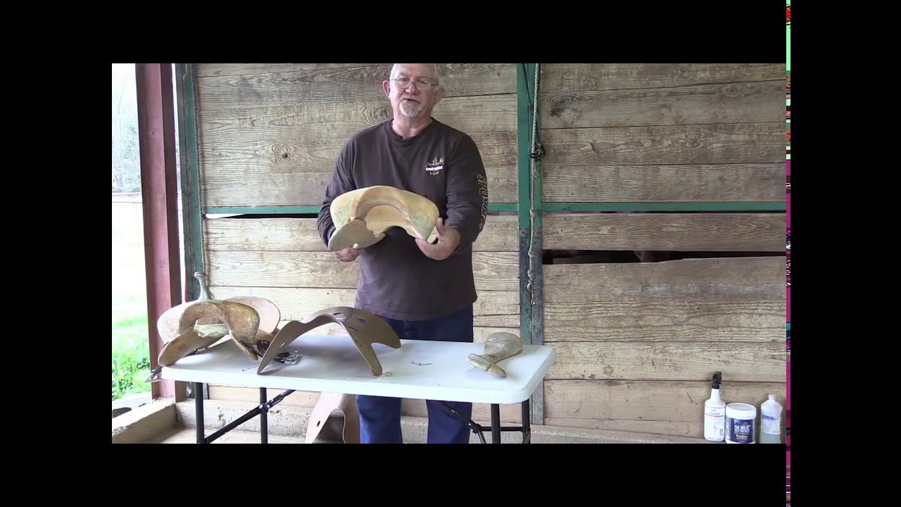 World Champion Barrel Racer Lynn McKenzie. "Saddle Tree Information"