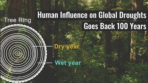Human Influence on Global Droughts Goes Back 100 Years