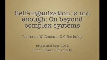 Terrence Deacon - Self-organization is not enough: on beyond complex systems