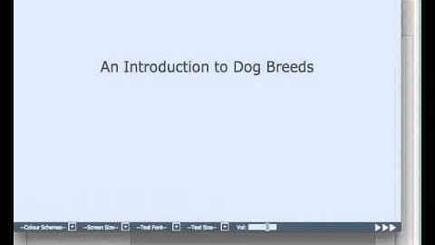 Xerte - 9 - Copying a Page