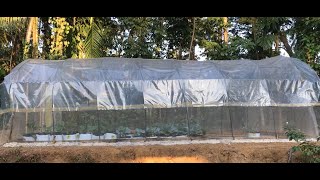 Greenhouse in Sri Lanka පොලිටනල් Polytunnel Price Sri Lanka Low cost greenhouse price in Sri Lanka