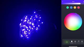 5M/10M Smart Alexa WiFi APP Remote Controlled LED String Lights with Music Sync RGB Dancing screenshot 3