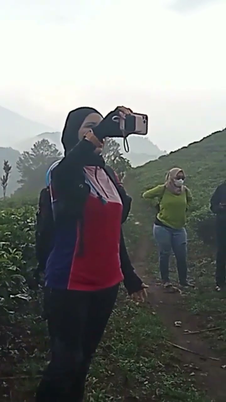 SUASANA SEGAR BERKABUT