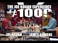 Joe Rogan Experience #1009 - James Damore