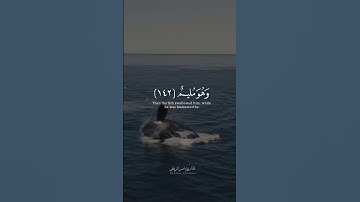 وإن يونُس لمن المرسلين / من سورة الصافات : القارئ ياسر الزيلعي..