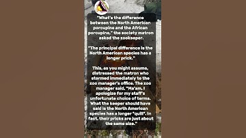 Best Jokes of the Day! 🚀 [Almost no diffenrence] 💬 #joke