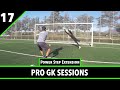 Session 17  goalkeeper training  pro gk academy