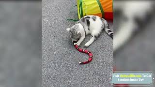 Electric Induction Snake Toy Cat screenshot 3