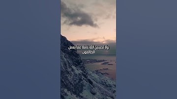 ولا تحسبن الله غافلا عما يعمل الظالمون #عبدالرحمن_مسعد #تلاوة_خاشعة #اكسبلور #قرآن #راحة_نفسية