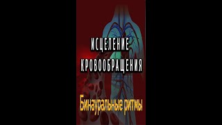 Лечебная терапия для ИСЦЕЛЕНИЯ КРОВООБРАЩЕНИЯ.Бинауральные ритмы