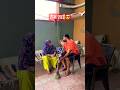 कोई मुझे पसंद करता है 🥲..#viralshorts #funny #comedy #trending #familycomedy #desicomedy #shorts