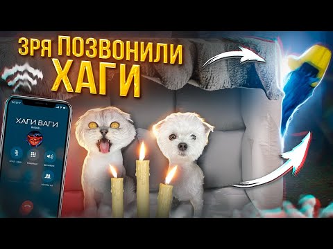 ЗРЯ МЫ ПОЗВОНИЛИ ХАГИ ВАГИ ИЗ ПОДУШЕЧНОГО ДОМА!