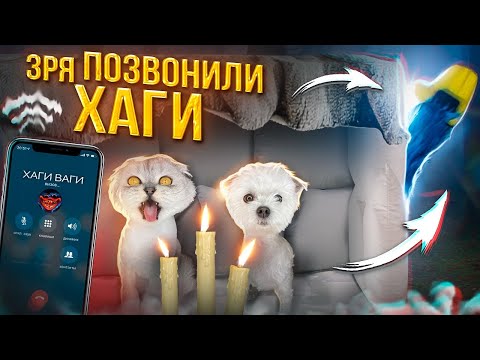 Видео: ЗРЯ МЫ ПОЗВОНИЛИ ХАГИ ВАГИ ИЗ ПОДУШЕЧНОГО ДОМА!