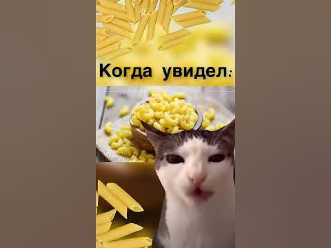Вешать лапшу на уши - YouTube