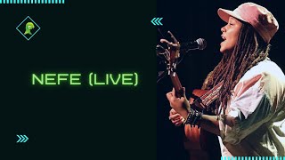 Nefe Spacedread Live