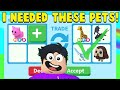 TRADING MEGA NEON PINK CAT IN RICH ADOPT ME SERVER (Roblox trade proof)