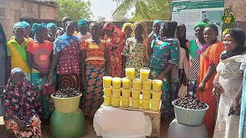 Communities regreening the Sahel: strengthening resilience from the ground up