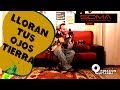 El Niño de la Hipoteca - Lloran tus ojos tierra