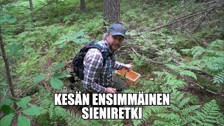 Kosteikko, metsästäjän puuhamaa