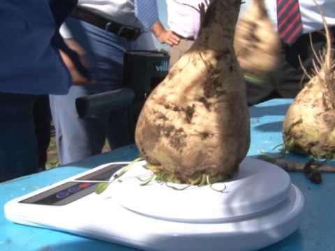 Как живет заинское село показали высоким гостям