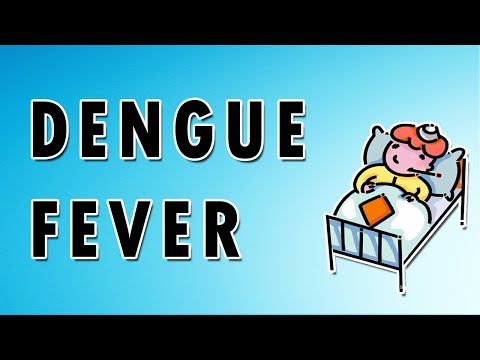 Dengue Fever - Causes, Symptoms, and Treatment