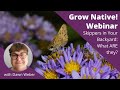 Grow Native! Webinar: Skippers in Your Backyard: What ARE they?