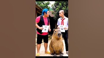 Capybara bị bố hiểu lầm điểm kém, bình lừa bố lấy 20 tỷ #shorts #capybara #ai #veo3 #capybaras