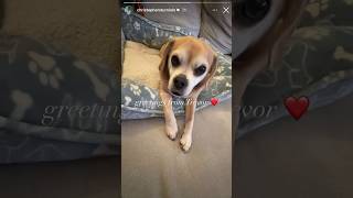 Chris on his story!!! #chrissturniolo #mattsturniolo #nicksturniolo #sturniolotriplets #sturniolo