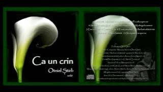 Otniel Știrb - Pe calea spre cer [Official Audio]