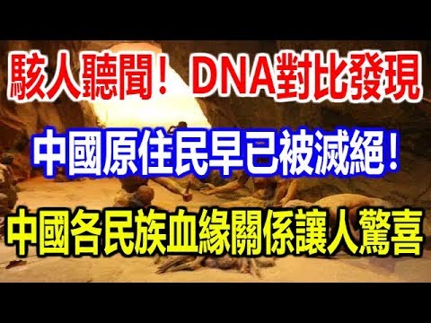 駭人聽聞！DNA對比發現，中國原住民早已被滅絕！中國各民族血緣關係讓人驚喜