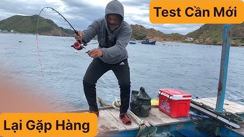 Câu Cá Biển Tự Nhiên, Câu Ikada, Câu Bè Nhơn Hải, Bè Phú Dương. Câu Cá Dìa, Cá Dò, Cá Lù, Cá Hồng.